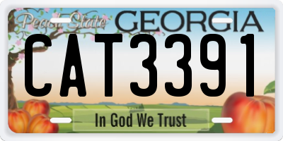 GA license plate CAT3391