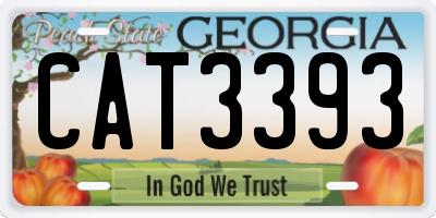 GA license plate CAT3393