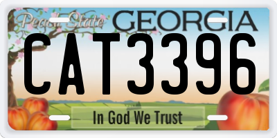 GA license plate CAT3396