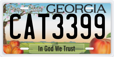 GA license plate CAT3399