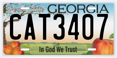 GA license plate CAT3407