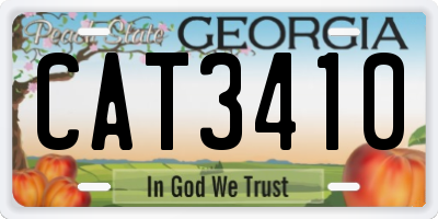 GA license plate CAT3410