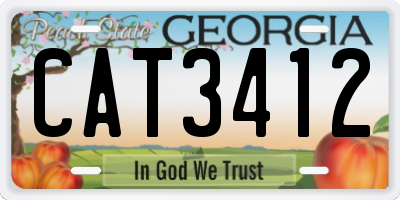 GA license plate CAT3412