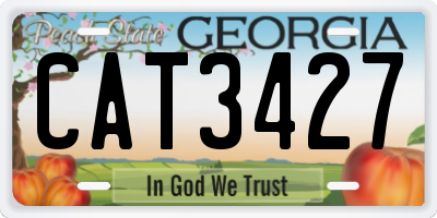 GA license plate CAT3427