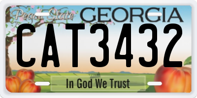 GA license plate CAT3432