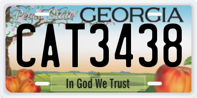 GA license plate CAT3438