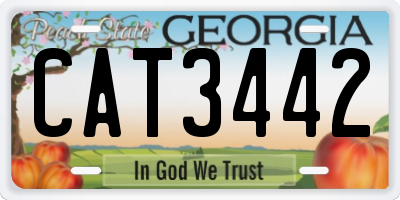 GA license plate CAT3442