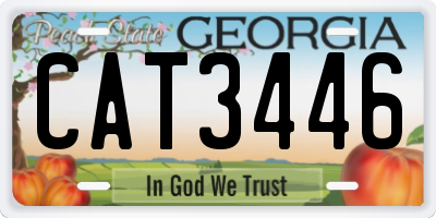 GA license plate CAT3446