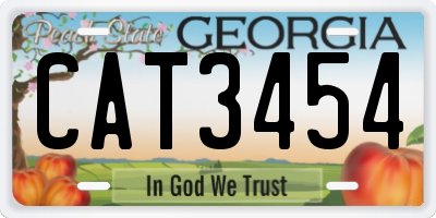 GA license plate CAT3454