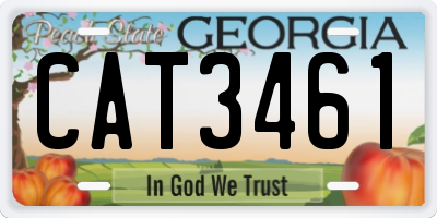 GA license plate CAT3461