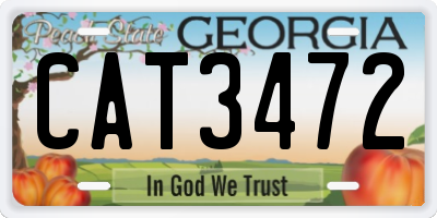 GA license plate CAT3472