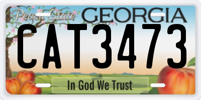 GA license plate CAT3473