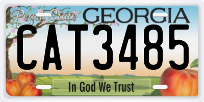 GA license plate CAT3485
