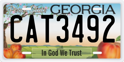 GA license plate CAT3492