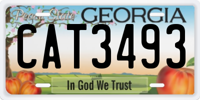 GA license plate CAT3493