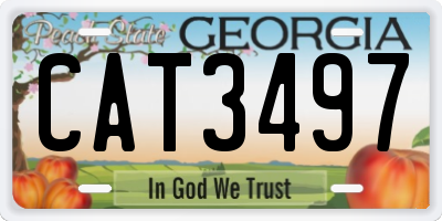 GA license plate CAT3497