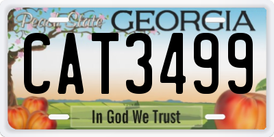 GA license plate CAT3499