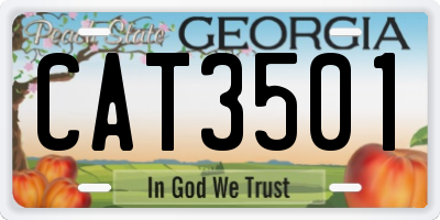 GA license plate CAT3501