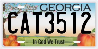 GA license plate CAT3512