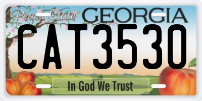 GA license plate CAT3530