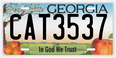 GA license plate CAT3537