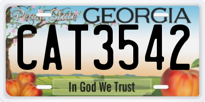 GA license plate CAT3542