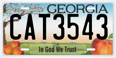 GA license plate CAT3543