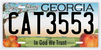 GA license plate CAT3553