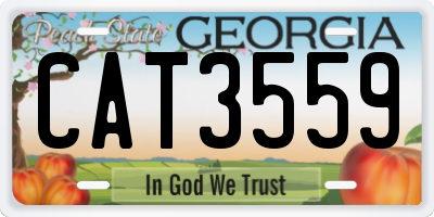GA license plate CAT3559