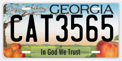 GA license plate CAT3565