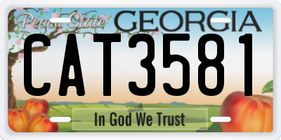 GA license plate CAT3581
