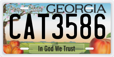 GA license plate CAT3586
