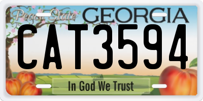 GA license plate CAT3594