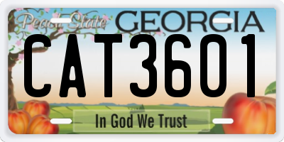 GA license plate CAT3601