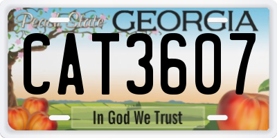 GA license plate CAT3607