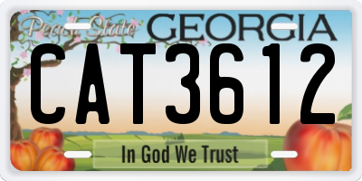 GA license plate CAT3612