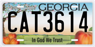 GA license plate CAT3614