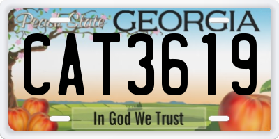GA license plate CAT3619