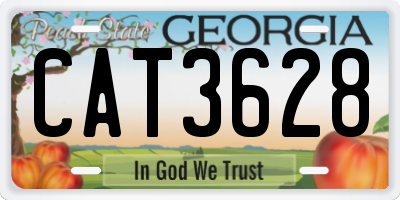 GA license plate CAT3628