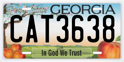 GA license plate CAT3638