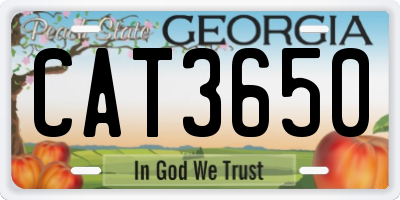 GA license plate CAT3650