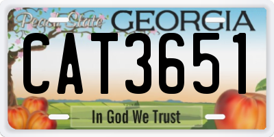 GA license plate CAT3651