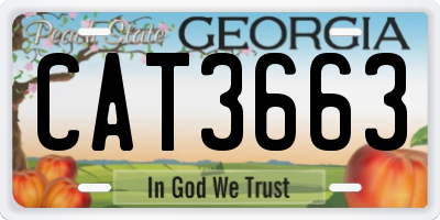 GA license plate CAT3663