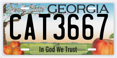 GA license plate CAT3667