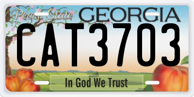 GA license plate CAT3703