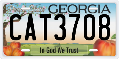GA license plate CAT3708