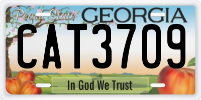 GA license plate CAT3709