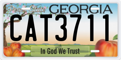 GA license plate CAT3711