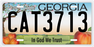 GA license plate CAT3713