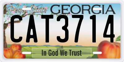 GA license plate CAT3714